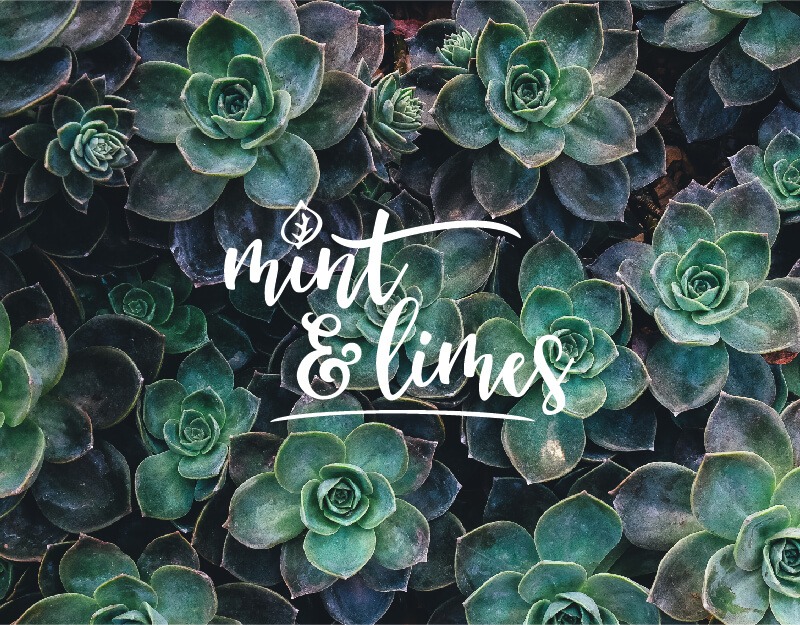 Logo von "Mint & Limes" vor grünen Sukkulenten.