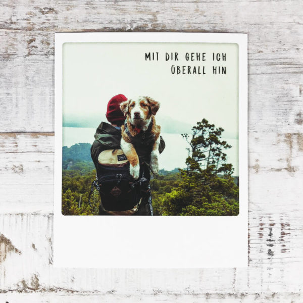 Polaroid Karte mit Aufschrift "Mit dir gehe ich überall hin" und Mann, der einen Hund im Arm hält.
